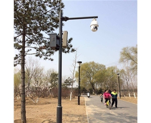 库尔勒路灯监控杆-LB-03